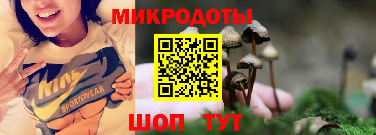 Заинск  Галлюциногенные грибы GOLDEN TEACHER  купить  сайты  Вход с VPN 